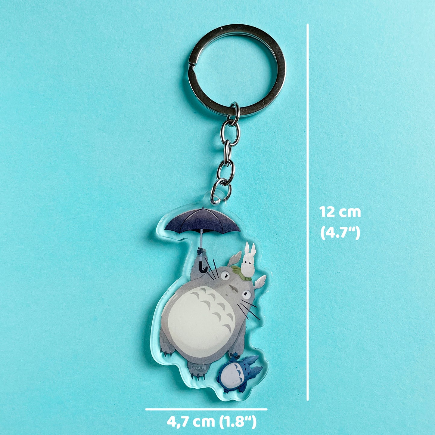 My neighbour Keychain